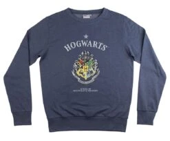 Cerda HARRY POTTER - Poudlard - Sweat Homme (2XL)