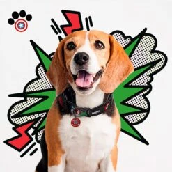 MARVEL - Collier Pour Chien - XXS 7 MARVEL - Collier Pour Chien - XXS -Homme & Co Soldes Boutique FIG2800000215 4
