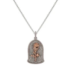 LA BELLE ET LA BETE - La Rose - Collier En Laiton Plaqué Argent -Homme & Co Soldes Boutique FIGCF01097TL Q 4
