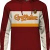 HARRY POTTER - Gryffondor - Sweatshirt Homme (S)