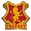 HARRY POTTER - Pin Badge Enamel - Gryffindor Perfect