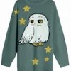 HARRY POTTER - Hedwige Etoiles - Pull De Noël Femme (S)